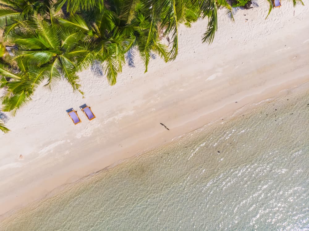 Beach & Coast Transfers — 1