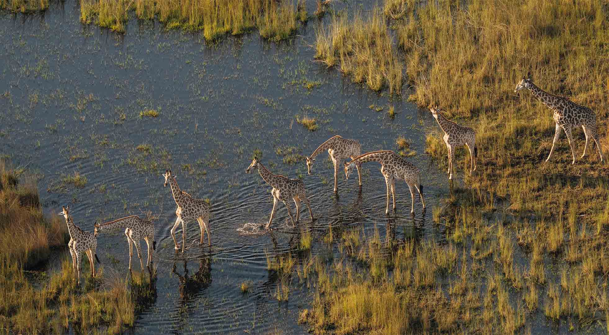 Scenic Helicopter Tours